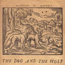 The Dog And The Wolf