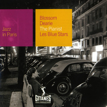 The Pianist - Les Blue Stars
