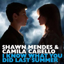 I Know What You Did Last Summer (With Camila Cabello) (CDS)