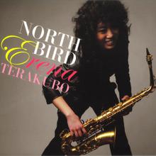 North Bird