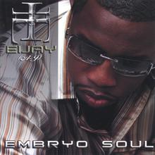 embryosoul (Soul Remix)