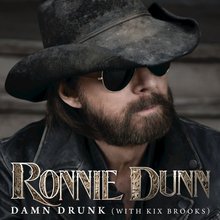 Damn Drunk (Feat. Kix Brooks) (CDS)