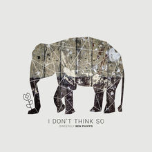 I Don't Think So (CDS)