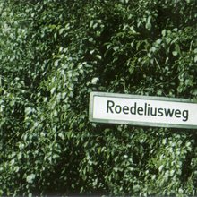 Roedeliusweg