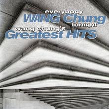 Everybody Have Fun Tonight: Wang Chung's Greatest Hits