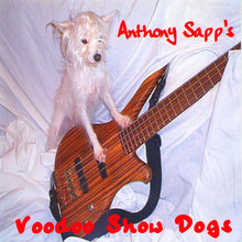 Voodoo Show Dogs