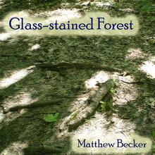 Glass-stained Forest
