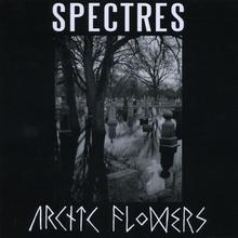 Arctic Flowers/Spectres (Split)