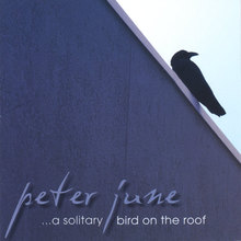 ...a solitary bird on the roof