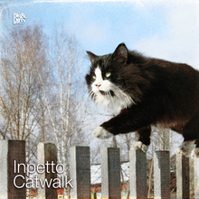 Catwalk (CDS)
