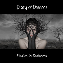 Elegies In Darkness (Limited Edition)