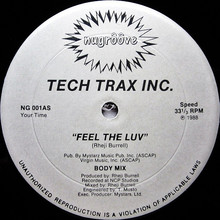 Feel The Luv (EP) (Vinyl)