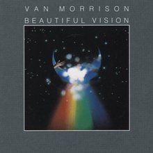 Beautiful Vision (Vinyl)
