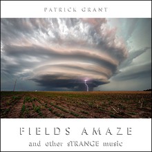 Fields Amaze And Other Strange Music