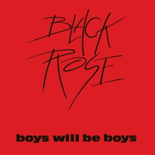 Boys Will Be Boys (Vinyl)