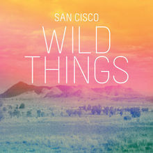 Wild Things (CDS)