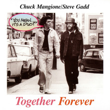 Together Forever (With Steve Gadd)