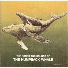 Songs And Sounds Of The Humpback Whale