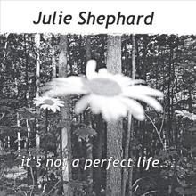 it's not a perfect life...