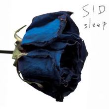 Sleep (CDS)
