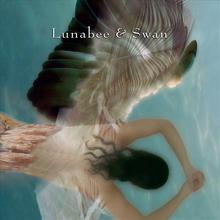 Lunabee & Swan