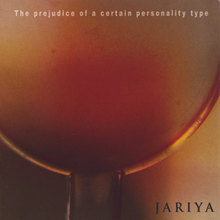 The Prejudice of A Certain Personality Type