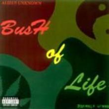 Bush of Life