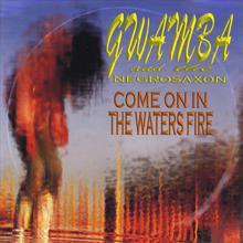 Come On In The Waters Fire