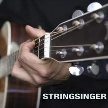 Stringsinger