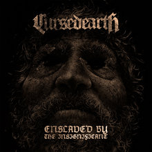 Enslaved By The Insignificant