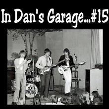 In Dan's Garage Vol. 15 (Vinyl)