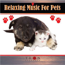 Critter Comforts: Relaxing Music For Pets CD2