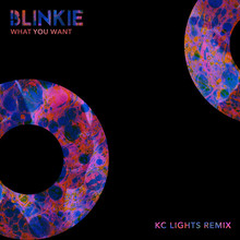 What You Want (Kc Lights Extended Remix) (CDS)