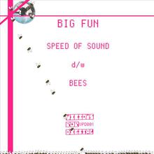 Speed Of Sound / Bees