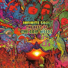 Infinite Soul: The Best Of The Grip Weeds