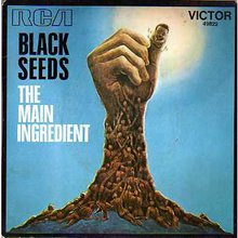 Black Seeds (Vinyl)