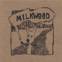 milkweed