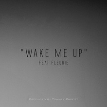 Wake Me Up (Feat. Fleurie) (CDS)