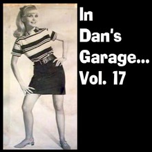 In Dan's Garage Vol. 17 (Vinyl)