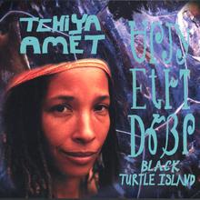 Black Turtle Island
