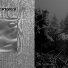 Vinterriket & Paysage D'hiver (Split)