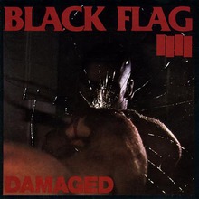 Damaged (Vinyl)