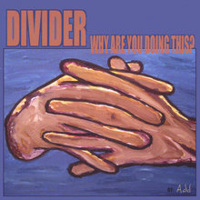 Divider Why Are You Doing This?