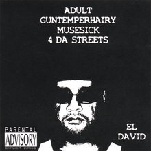 Adult Guntemperhairy Musesick 4 Da Streets
