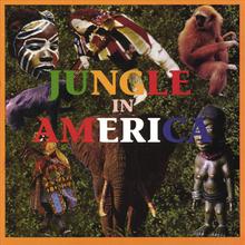Jungle in America