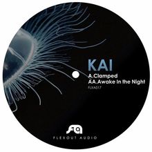 Clamped / Awake In The Night (CDS)