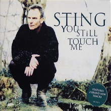 You Still Touch Me (CDS)