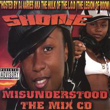 Misunderstood The Mix CD