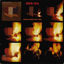 Long Burn The Fire (Vinyl)