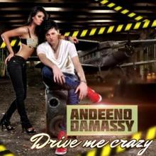 Drive Me Crazy (CDS)